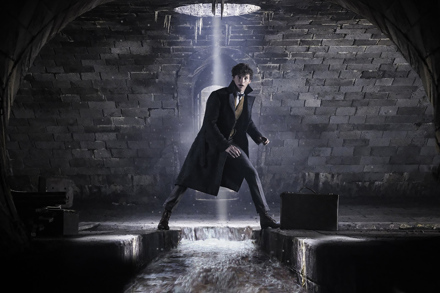 Les Animaux fantastiques : Les Crimes de Grindelwald