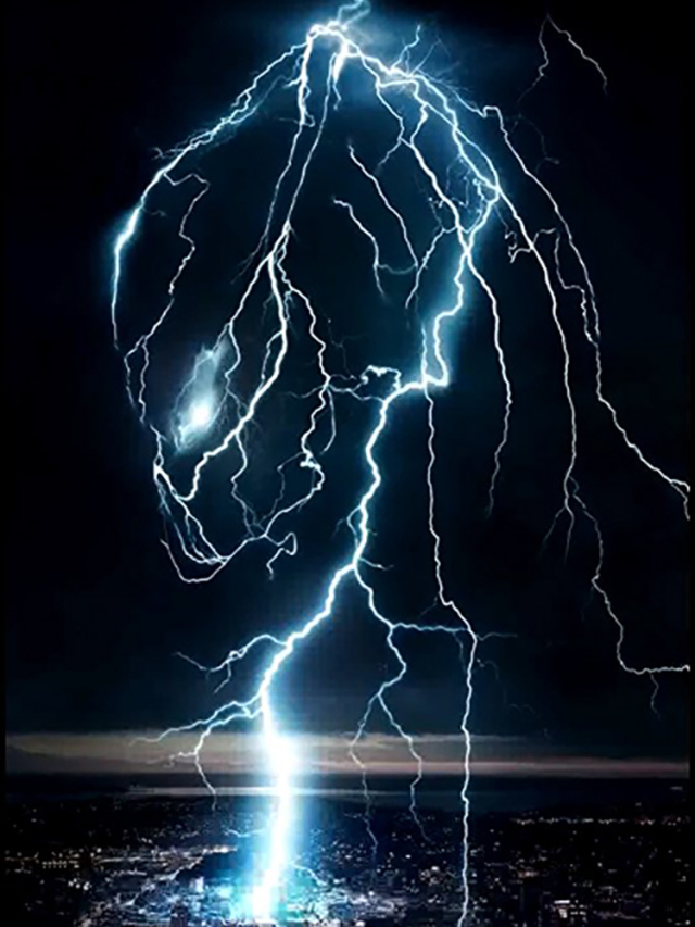 affiche The Predator