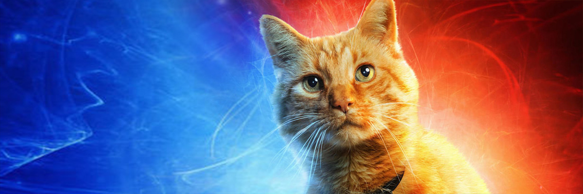 Goose le chat de Captain Marvel