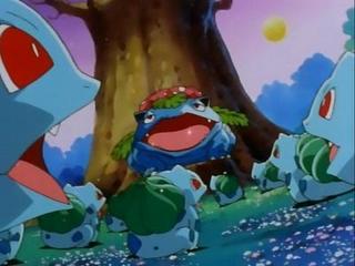Pokemon S01E51