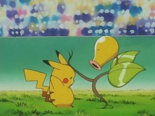 Pokemon S01E79