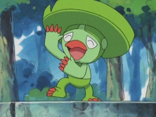 Pokemon S07E23