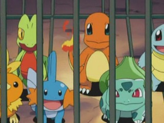 Pokemon S07E31