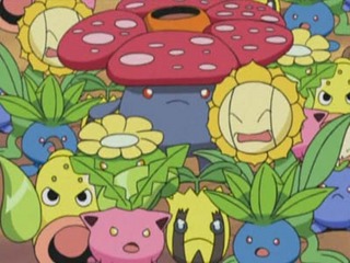 Pokemon S07E33