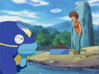 Pokemon S08E09