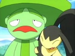 Pokemon S08E14