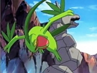 Pokemon S08E46