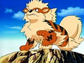 Pokemon S08E48