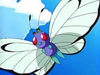 Pokemon S08E51