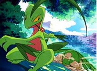 Pokemon S09E16