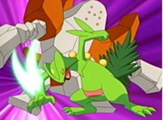 Pokemon S09E33