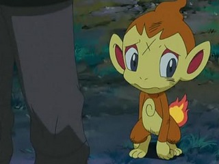 Pokemon S10E51