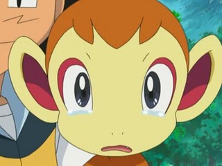 Pokemon S11E01