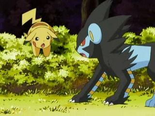 Pokemon S11E07