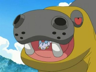 Pokemon S11E13