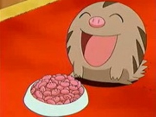 Pokemon S11E32
