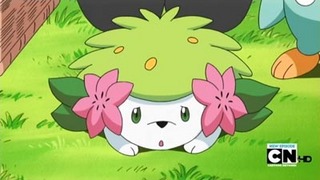 Pokemon S13E11