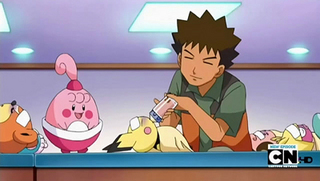 Pokemon S13E33