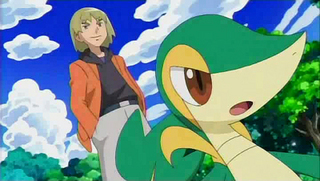 Pokemon S14E10