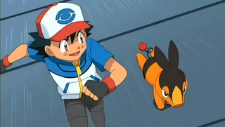 Pokemon S14E16