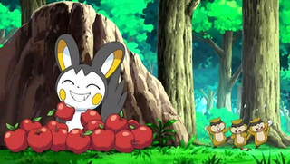 Pokemon S14E24