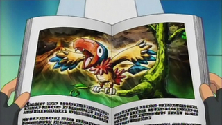 Pokemon S14E36
