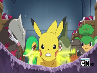 Pokemon S14E48