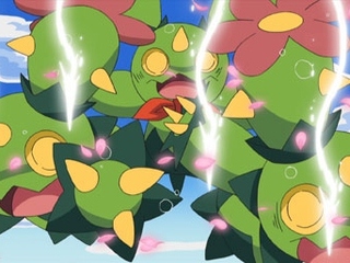 Pokemon S14E53