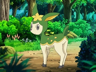 Pokemon S14E54