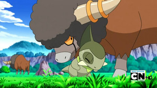 Pokemon S14E66