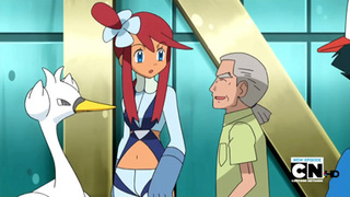 Pokemon S14E68