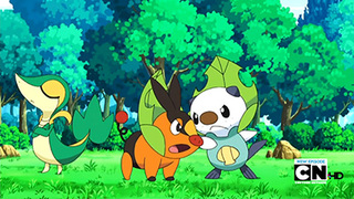 Pokemon S14E74