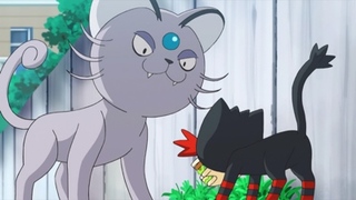 Pokemon S18E07