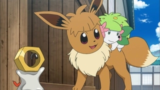 Pokemon S18E117