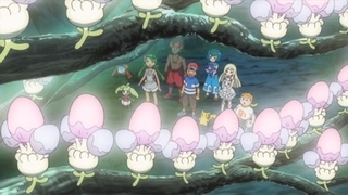 Pokemon S18E29