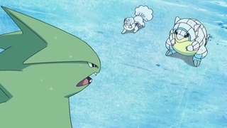 Pokemon S18E80