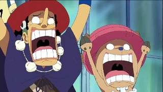One Piece S12E16