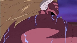 One Piece S12E33