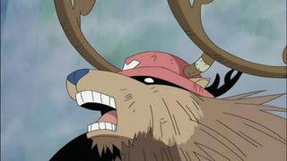 One Piece S13E23