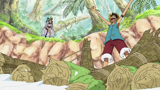 One Piece S13E29
