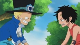 One Piece S14E13