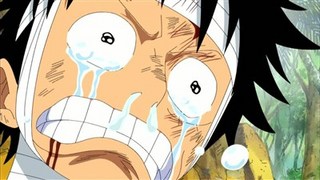 One Piece S14E24