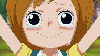 One Piece S15E27