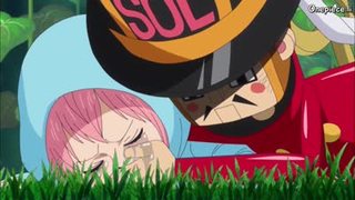 One Piece S17E23