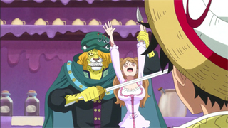 One Piece S19E08