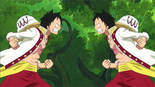 One Piece S19E12