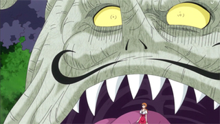 One Piece S19E23