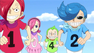 One Piece S19E24