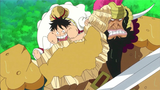 One Piece S19E26