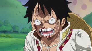 One Piece S19E29